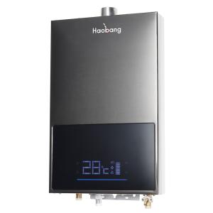 Quality Silver Constant Temperature Water Heater Strong Active Safety Protection Bath Leak Prevention NG LPG wholesale