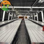 White Double Layer Greenhouse for Mushroom Farming Profitability