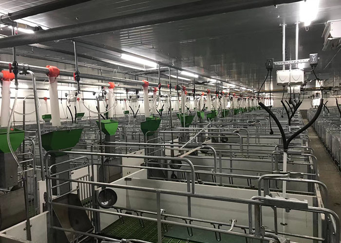 PVC Board Gestating Pig Farrowing Pen 2.5mm Thickness With BMC Slat