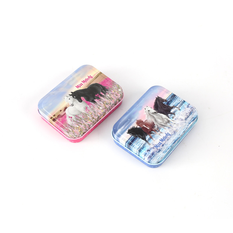 Wholesale Mini Tins Empty Metal Mint Cans for Sale Small Metal Sotrage Box for Candy