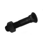 M12 Square Neck Carriage Bolt
