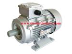 Motor Generator Ye3 Super High Efficiency Electric Motor construction machinery