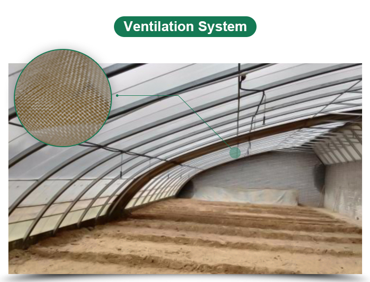 Hydroponic Greenhouse System for High Strength Solar Greenhouse and Vegetable Flower