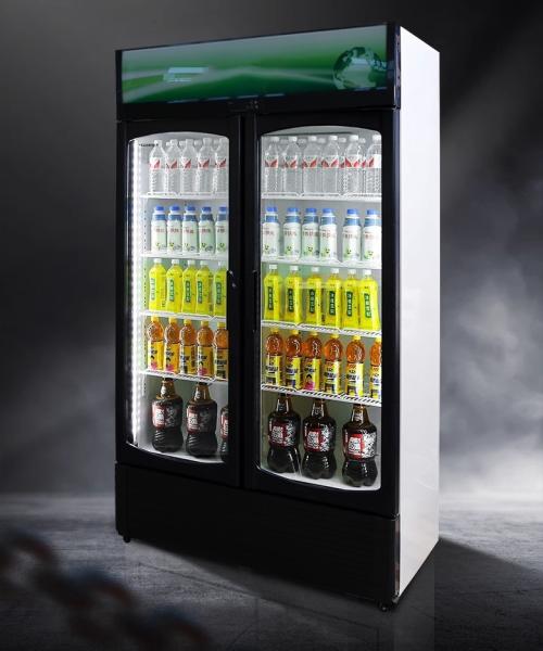 220V-240V/50HZ 60HZ 110V/60HZ Display Cooler 2 Doors Store Drinks Fridge