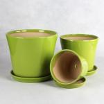 Unique Ceramic Pots For Distinctive And Eye-catching Plant Collection