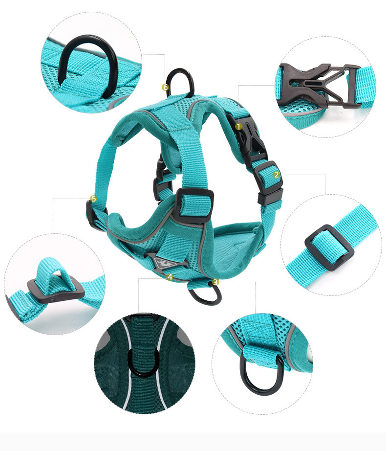 Adjustable Breathable Dog Vest Safety 1.5m Traction Leash No Pull Dog Harness Set Personalized for Safe and Stylish Walks