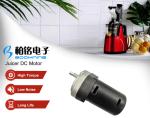 Slow Juicer DC Motor
