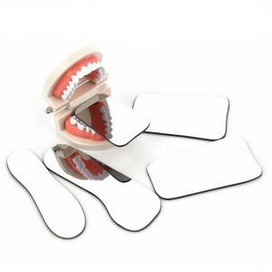 Quality Dental Orthodontic Mirror Photography Double-Sided Mirrors Dental Tools Glass Material Dentistry Reflector Intra Oral wholesale