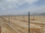 Green Powder Coated Garden Trellis Posts Agricultural Vineyard Accessories