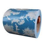 Ral 9012 Pre Painted Galvanized Steel Coil Ppgi Q195 DX52D
