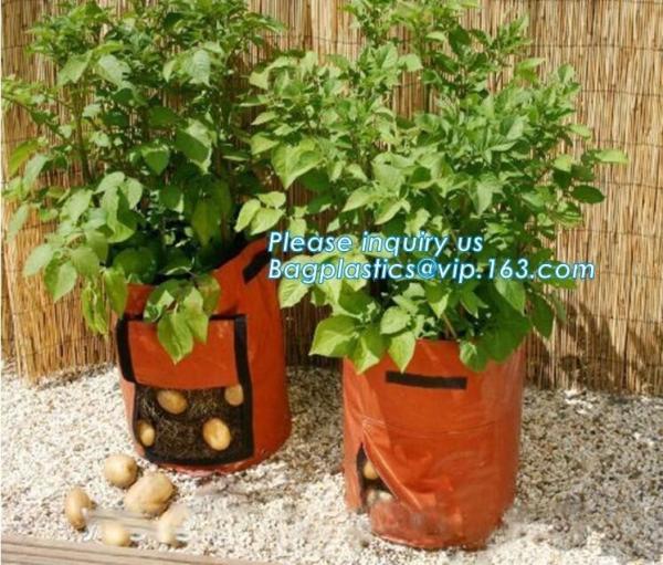 100 /200/300 gallon tan tree grow bag 100gallon grow bag for plant trees