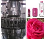 PET Bottle Filling And Capping Machine