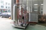 Soft Drink Water Making Machine Two Tanks Carbonated Water Bottle Filling