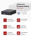 The discharge rate 0.5c 100ah 200ah 48v 51.2v LiFePO4 Lithium Ion Battery Rack