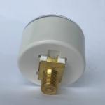 Balloon Inflation Device Medical Brass Pressure Gauge 30 ATM 40mm Radial
