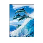 Living Room Decoration 3D Lenticular Photography Sealife Dolphin Images With