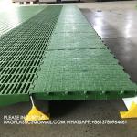 600*600mm Plastic Slats Blind Floor For Pig Farrowing Crate Equipment automatic