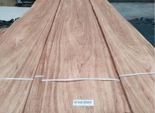 Etimoe Natural Wood Veneer African Etimoe Exotic Veneers for Furniture Doors