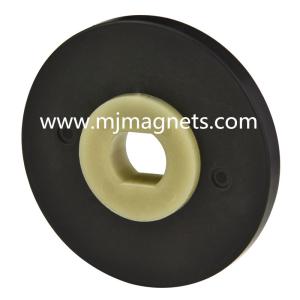Quality plastic Injection bonded permanent magnet for automotive wholesale