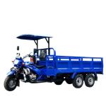 5.00-12/5.00-12 Tyre DAYANG 300cc Double Rear Axle Motorized Tricycle for Heavy