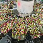 Food Packing Machinery Industrial Food Packaging Machines Functional Candy Jar
