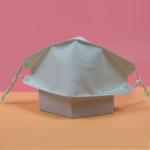 Fish Shaped Duckbill 3D Disposable KF94 Face Mask Ear Hook 4 Ply Dust Mask