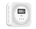 Standalone Battery Operated 85dB Co Smoke Detector Voice Alarm