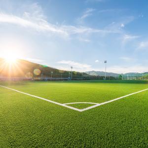 Quality Professional Synthetic Artificial Wall Grass Decorative Fake Grass Outdoors wholesale