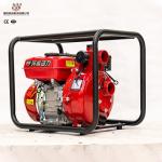 Garden 2-Stroke Agricultural Irrigation Water Pump 41.5cc Gasoline Water Pump
