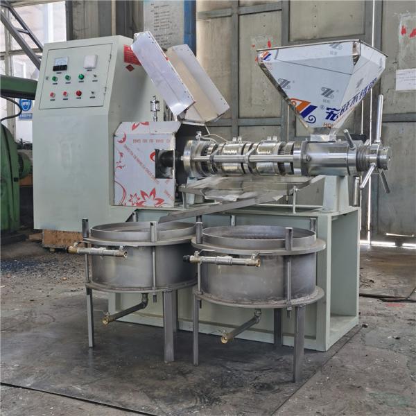 sesame oil making machine price/cocoa bean oil press machine/canola oil