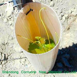 Quality Customizable Green Recyclable Corrugated Plastic Tree Tube for Sustainable Planting wholesale