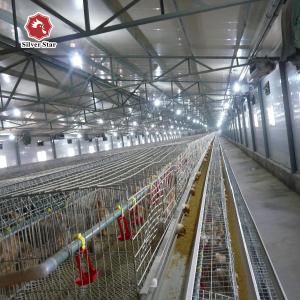 Quality 120 Chickens / Set Battery Baby Chick Cage Broiler Chicken Farming Materials wholesale