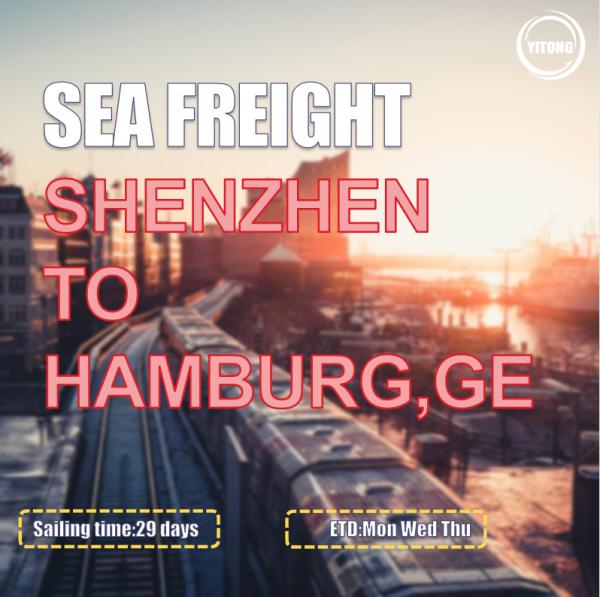 EMC YML Liner International Sea Freight Logistics From Shenzhen To Hamburg