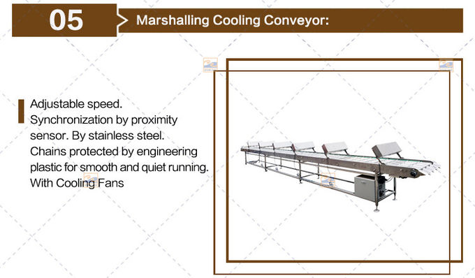 Rolled Waffle Ice Cream Cone Production Line 14m Long Commissioning 101 Baking Plates
