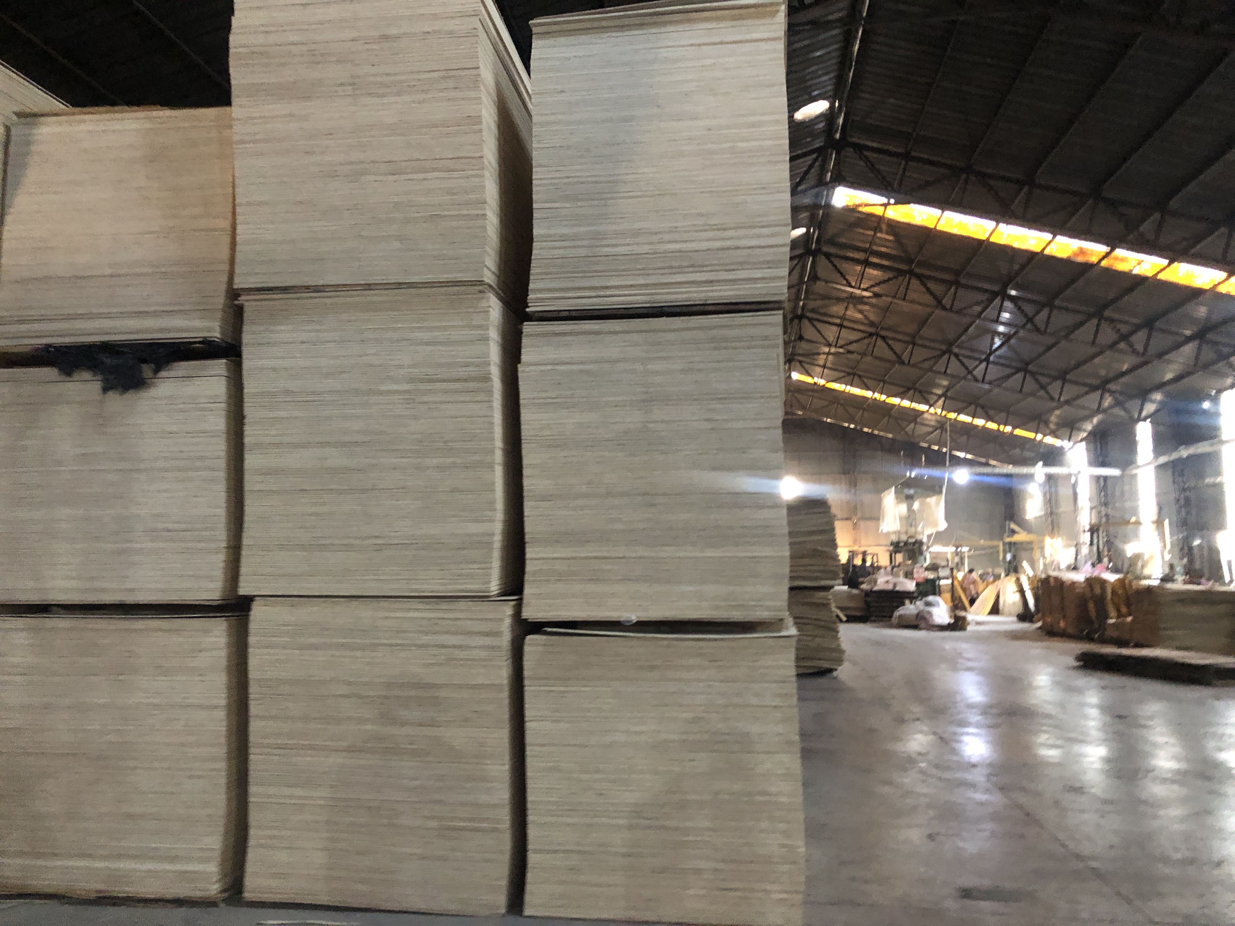 Plywood 12mm/15mm/19mm used in furniture, packaging, flooring, doors, kitchen cabinets and used in buildings, walls,