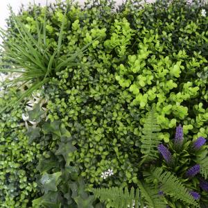 Quality Outdoor Boxwood Indoor Artificial Living Wall Home Decoration wholesale