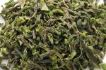 Air Dried dehydrated Green Beans cross Cut New Crop 2019