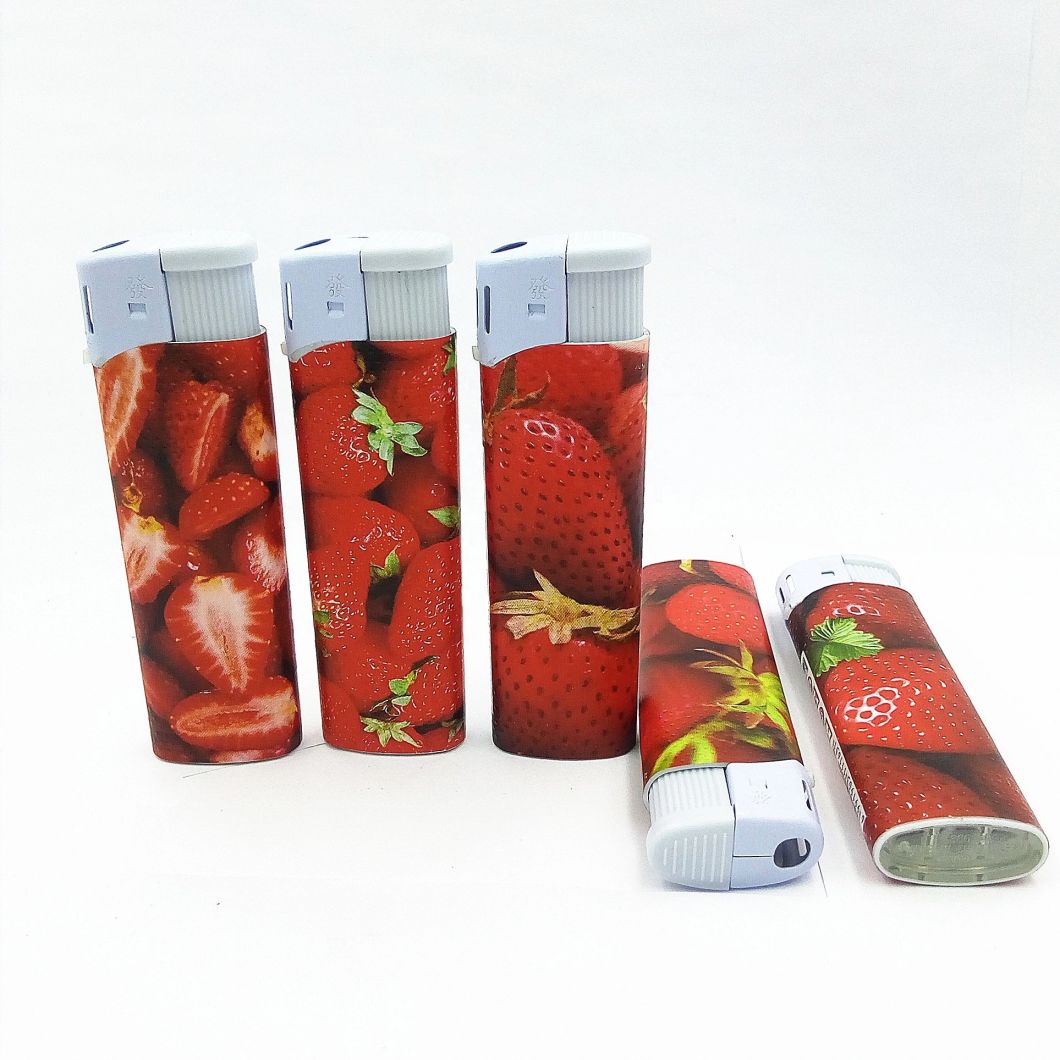Fireplace European Refillable Electronic Cigarette Lighter Encendedores Dy-007