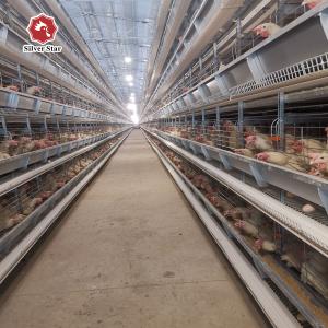 Quality Breeding Battery Chicken Cage 126 Birds / Set Full Automatic Equipment wholesale
