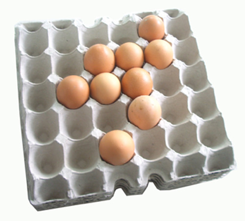 Disposable Molding Egg Box Forming Machine 100KW Eco Friendly Plates Use