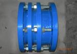 Double Flange Pipe Sea Water DN20 Power Plant Accessories