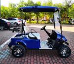 Export EV 2 Seater Golf Cart 48V 3.5KW AC System Good Quality Golf Trolley