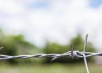 Use Of Prison Walls Double Strand Traditional Twist Electro Barbed Wire Coils