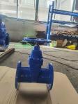 F5 PN10 PN16 Cast Iron DN150 Gate Valve 6 Inch ISO5208 Standard
