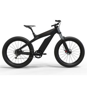 Quality Domanca Carbon Fiber Fat Tire Electric Bike Off eBike 750w with JELLY POWER Battery wholesale