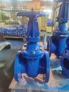 Quality CI DI Valve Gate Wedge Resilient DN65 Non Risng Stem wholesale