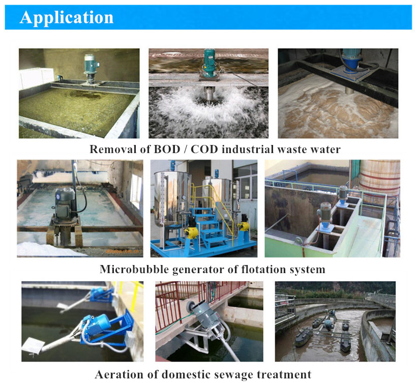 930 mm Capacity 1-80 m3/hour Cavitation Air Flotation Machine Dissolved Air Flotation Micro Bubble Generator