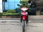 2022 Hot selling oem speedo cheap import motorcycles 50cc 110cc cub motorcycles