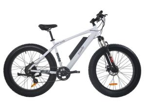 Quality 48V Electric Assist Fat Bike Intelligent Controller Mechanical Disc Brakes wholesale