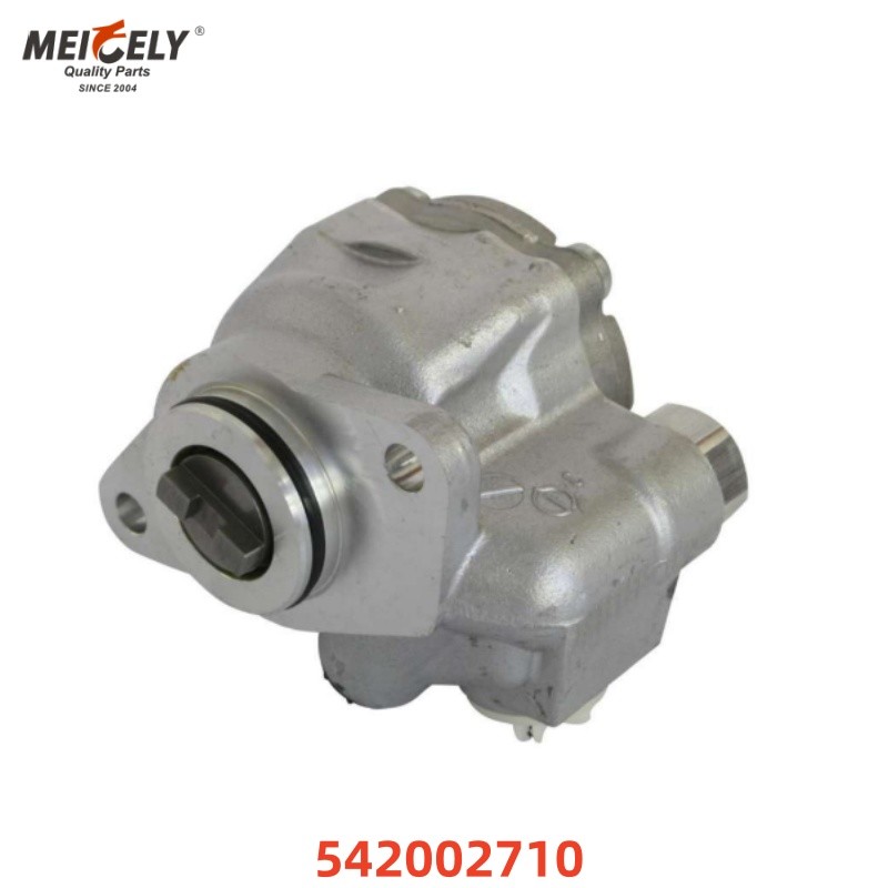 Truck Parts High-Quality Steering Pump OEM 542002710 8695955113 For Merecdes-Benz